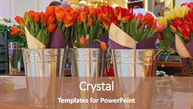  Presentation with flower - Cool new theme with flower shop concept close-up backdrop and a coral colored foreground
