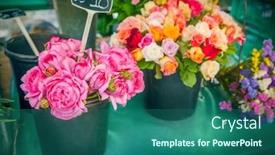  Presentation with paris france - Theme with flower-shop-in-paris-france background and a ocean colored foreground