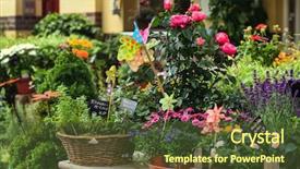  Presentation with thrift shop - Presentation theme featuring flower shop in the berlin background and a tawny brown colored foreground