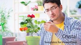 Presentation with flower - Audience pleasing theme consisting of flower shop with house plant backdrop and a light blue colored foreground