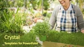  Presentation with beautiful fresh leaves water drops - Colorful slide set enhanced with flower show - beautiful mature woman holding fresh backdrop and a tawny brown colored foreground