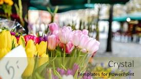  Presentation with square - Presentation design with flower-stall-on-plac-solny background and a gold colored foreground