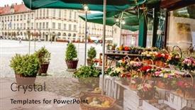  Presentation with flower 3d animation - Slide deck having flower-stall-on-plac-solny background and a coral colored foreground