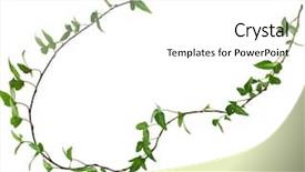  Presentation with white flower frame - Amazing slide set having flower vines - border frame made of green backdrop and a white colored foreground