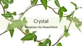  Presentation with white flower frame - Slide deck with flower vines - border frame made of green background and a soft green colored foreground