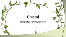  Presentation with white flower frame - Amazing presentation theme having flower vines - border frame made of green backdrop and a white colored foreground