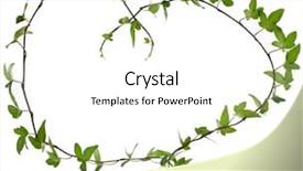  Presentation with frame border - Slide set with flower vines - border frame made of green background and a white colored foreground