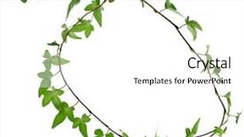  Presentation with white flower frame - Colorful PPT theme enhanced with flower vines - border frame made of green backdrop and a white colored foreground