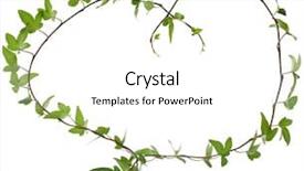  Presentation with white flower frame - Audience pleasing presentation theme consisting of flower vines - frame made of green climbing backdrop and a white colored foreground