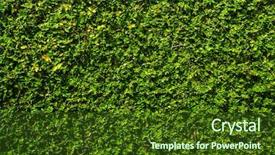  Presentation with water rain drop hanging on a fresh green leaf - Slide deck with flower vines - green leaf background background and a tawny brown colored foreground