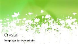  Presentation with waves - Slide set consisting of flower-waves-background background and a cream colored foreground