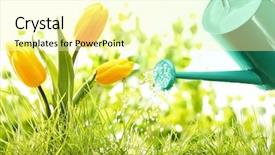  Presentation with metallic - Beautiful presentation theme featuring  backdrop and a  colored foreground