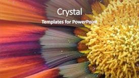  Presentation with flower - Amazing PPT theme having alice wonderland - flower backdrop and a tawny brown colored foreground