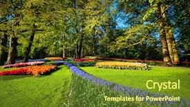  Presentation with tulips - Colorful presentation theme enhanced with flowerbed in keukenhof flower garden backdrop and a tawny brown colored foreground