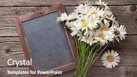  Presentation with chamomile - PPT theme featuring flowergraphics - blackboard for your text background and a tawny brown colored foreground