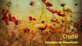  Presentation with old fashioned - Colorful slides enhanced with flowergraphics - old-fashioned flower backdrop and a tawny brown colored foreground