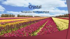  Presentation with rural tourism concept - Theme enhanced with  background and a  colored foreground