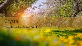  Presentation with spring - Colorful slide deck enhanced with flowering-garden-in-spring-time backdrop and a gold colored foreground