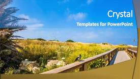  Presentation with crow - Audience pleasing PPT theme consisting of flowering grassy meadow backdrop and a teal colored foreground