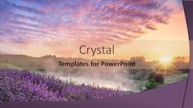  Presentation with ripples - PPT theme consisting of flowering-lavandula-or-lavender-field background and a  colored foreground