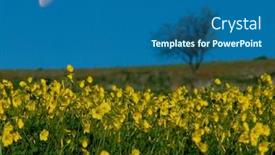  Presentation with tree silhouette - Slide deck consisting of flowering-of-yellow-wild-flowers background and a ocean colored foreground