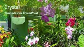  Presentation with botanical garden - Beautiful PPT theme featuring flowering-orchids-in-botanical-garden backdrop and a tawny brown colored foreground