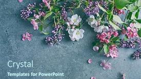  Presentation with stone - Theme featuring flowering-tree-branches-on-stone background and a seafoam green colored foreground