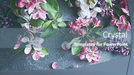  Presentation with springtime - Cool new PPT theme with flowering-tree-branches-on-stone backdrop and a ocean colored foreground