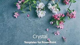  Presentation with tree - Slides enhanced with flowering-tree-branches-on-stone background and a seafoam green colored foreground