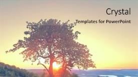  Presentation with meadow - Slide deck enhanced with flowering trees - tree on summer meadow background and a soft green colored foreground