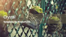  Presentation with decoration - PPT theme having flowerpot in old shoes landscape background and a violet colored foreground