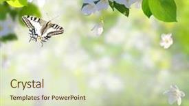  Presentation with tree spring flowers apple flowers - Audience pleasing PPT layouts consisting of flowers and a flying butterfly backdrop and a soft green colored foreground