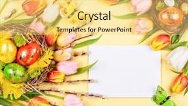  Presentation with easter bunny yellow spring flower - Slide set having flowers and branches of pussy background and a yellow colored foreground