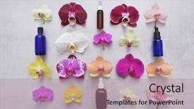  Presentation with beautiful orchid flowers - Slides consisting of flowers and four herbal ball background and a coral colored foreground