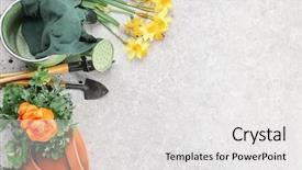  Presentation with gardening - Slide set having flowers and gardening tools background and a white colored foreground
