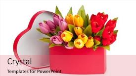  Presentation with white flowers of jasmine - Theme enhanced with flowers and gift box isolated background and a  colored foreground