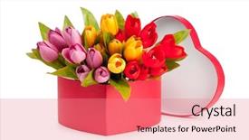  Presentation with white flowers - Colorful slide deck enhanced with flowers and gift box isolated backdrop and a coral colored foreground
