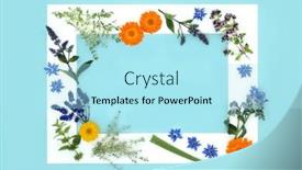  Presentation with skin wounds - Presentation having flowers-and-herbs-for-natural background and a arctic colored foreground