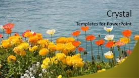  Presentation with switzerland - Amazing slide set having flowers and lake geneva backdrop and a light blue colored foreground