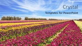  Presentation with rural tourism concept - PPT layouts featuring  background and a  colored foreground