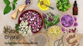  Presentation with aromatherapy oil - PPT layouts with flowers aromatherapy essential oil background and a coral colored foreground