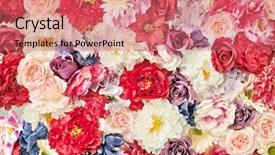  Presentation with flowers - Presentation theme having handsome young boy posing on the camera with skateboard outdoors attractive skateboarder having fun in the skatepark close-up of man background and a gray colored foreground.