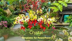  Presentation with beautiful orchid flowers - Presentation theme consisting of flowers-beautiful-yellow-orchid-phalaenopsis background and a tawny brown colored foreground