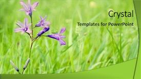  Presentation with flowers - PPT layouts featuring flowers-bells-and-grasshopper background and a yellow colored foreground