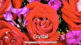  Presentation with pansy - Amazing PPT theme having flowers big bouquet of rose backdrop and a red colored foreground