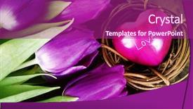  Presentation with wooden heart the slogan - Amazing theme having flowers birds - heart-shaped stone and fresh tulips backdrop and a violet colored foreground