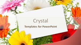  Presentation with greeting card - Presentation design enhanced with flowers-bouquet-and-blank-greeting background and a cream colored foreground