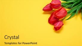  Presentation with red floral - Slide deck enhanced with flowers bunch is on yellow background and a light gray colored foreground