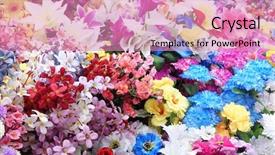  Presentation with paper quilling colorful paper flowers - Amazing presentation having flowers colorful bouquet variety synthetic backdrop and a coral colored foreground