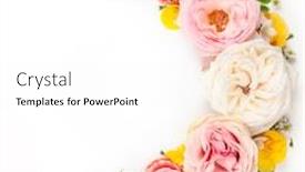  Presentation with flowers border - Colorful theme enhanced with flowers-composition-border-of-assorted backdrop and a white colored foreground